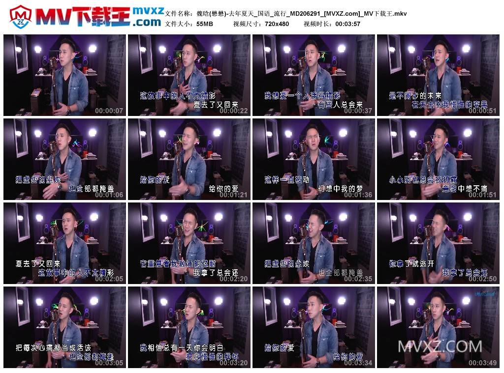 魏晗(懋懋)-去年夏天_国语_流行_MD206291